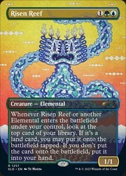 Risen Reef 1257