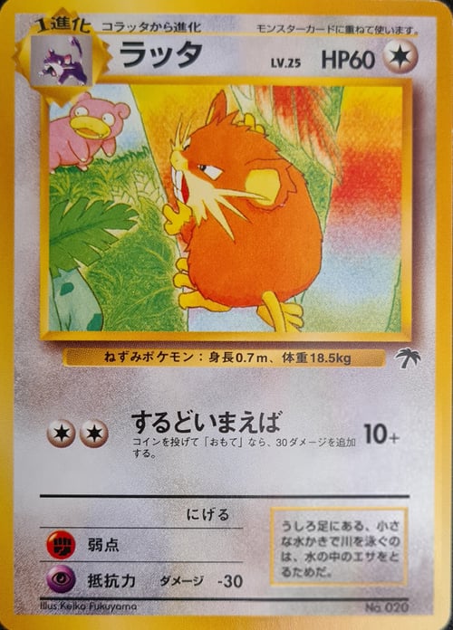 Raticate Card Front
