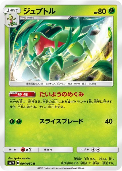 Grovyle Card Front