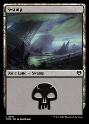 Swamp · 791 791