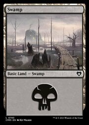 Swamp · 793 793