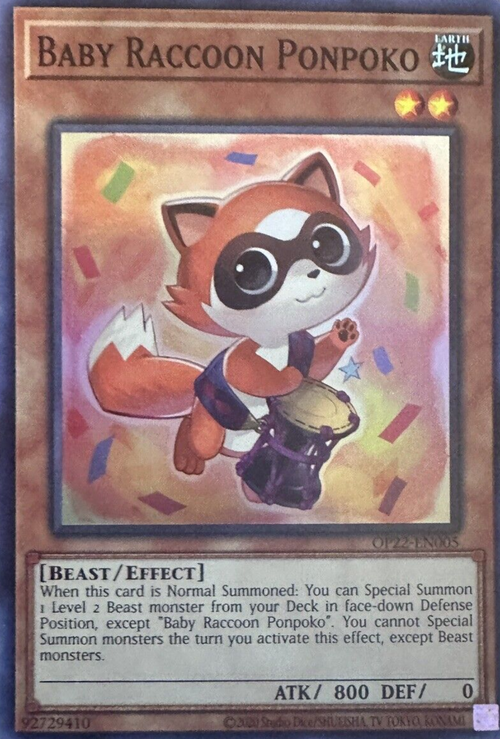 Baby Raccoon Ponpoko Card Front