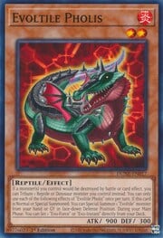 Evoltile Pholis · Common 017