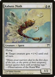 Kabuto Moth 020