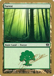 Forest 348