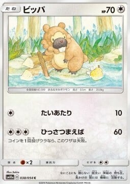 Bidoof Lv.10 Card Front