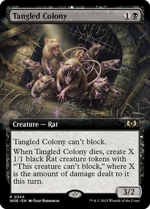 Tangled Colony Card Front