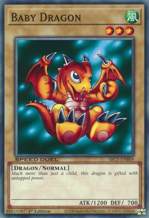 Cucciolo di Drago Card Front