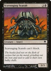 Scavenging Scarab 051