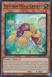 Naturia Mole Cricket · Super Rare 170