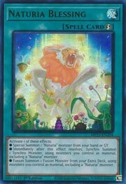 Naturia Blessing · Ultra Rare 204