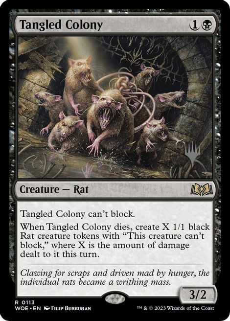 Tangled Colony Card Front