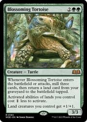 Blossoming Tortoise 163