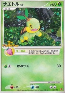 Turtwig Lv.9 Card Front