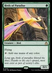 Birds of Paradise 133