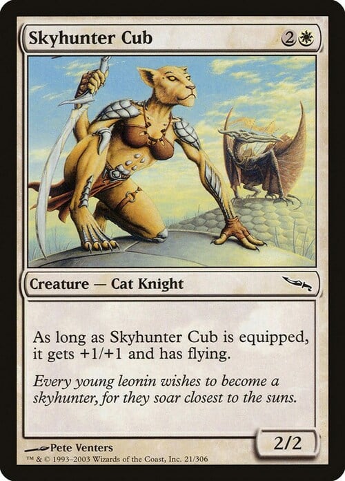 Skyhunter Cub Card Front
