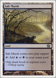 Salt Marsh 325