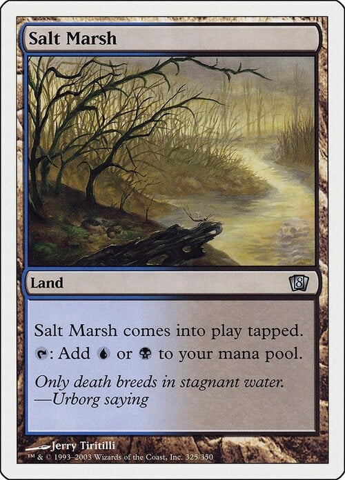 Salt Marsh Card Front