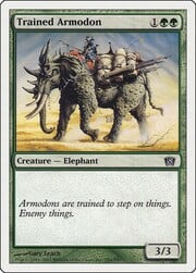 Trained Armodon 284