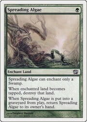 Spreading Algae 281