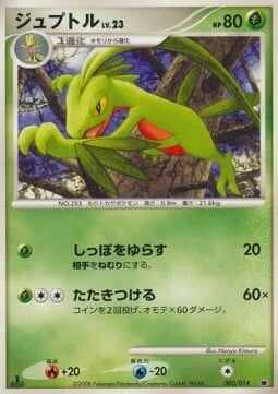 Grovyle Lv.23 Card Front