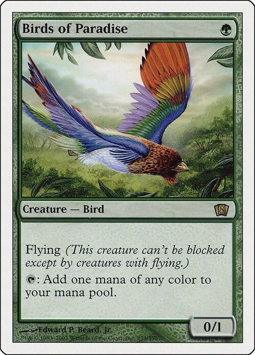 Birds of Paradise Card Front