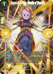 Supreme Kai of Time, Guardian of Spacetime