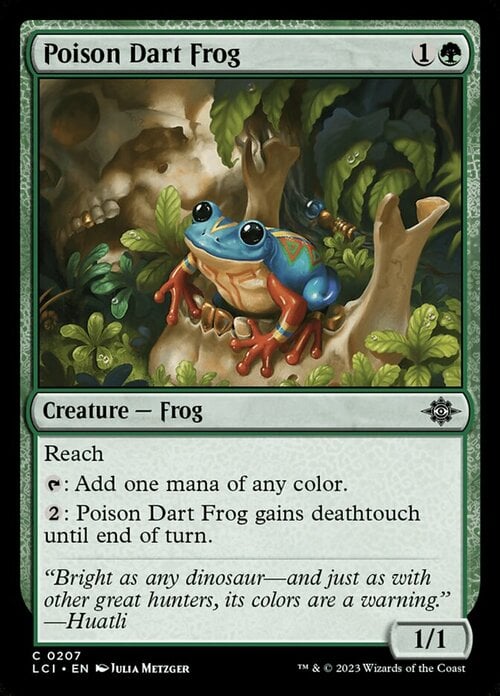 Poison Dart Frog Card Front