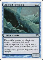 Spiketail Hatchling 102