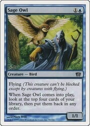 Sage Owl 098