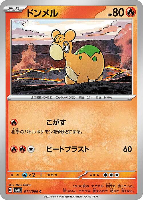 Numel Card Front