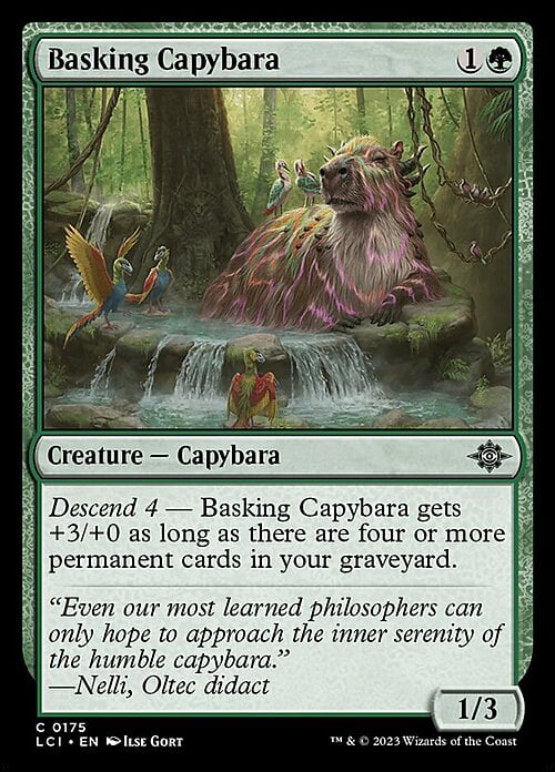 Capibara apacible Frente