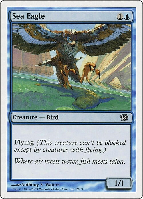 Aquila di Mare Card Front