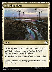 Thriving Moor 365