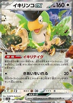 Squawkabilly ex Card Front