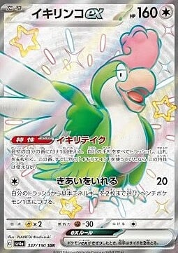 Squawkabilly ex Card Front