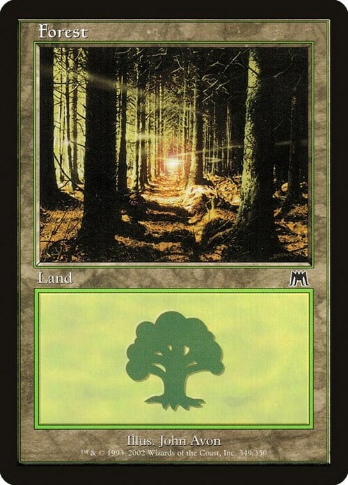 Forest Card Front