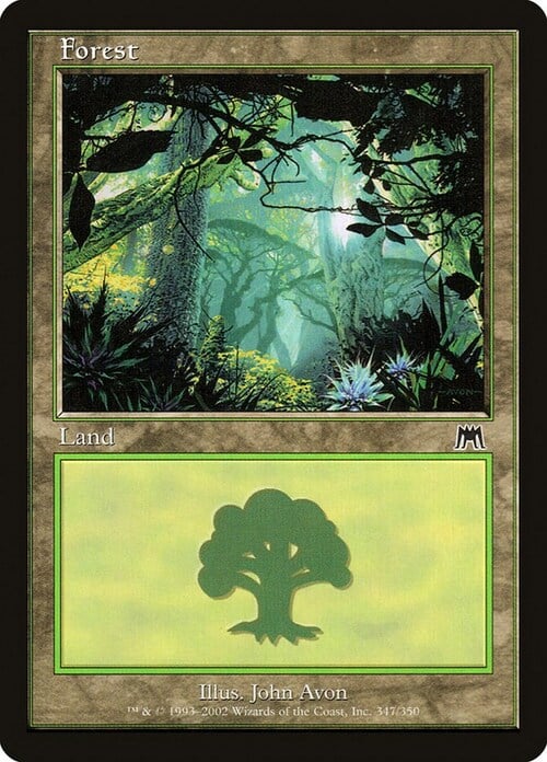Forest Card Front