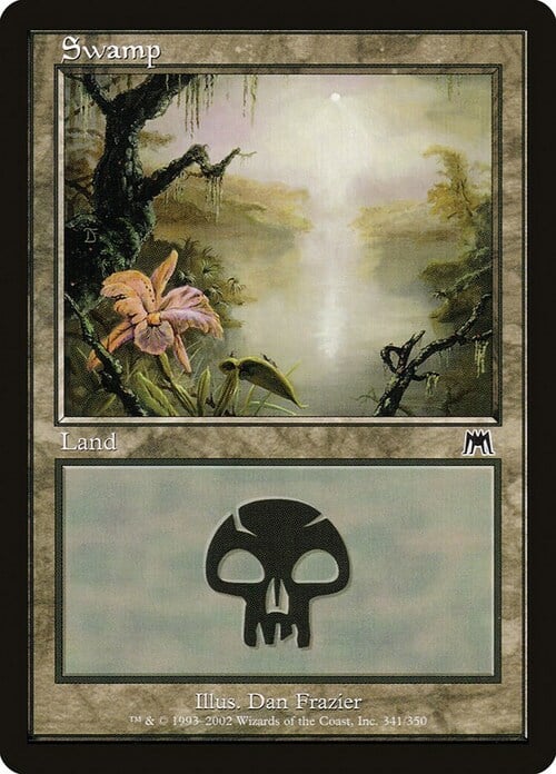 Swamp Card Front