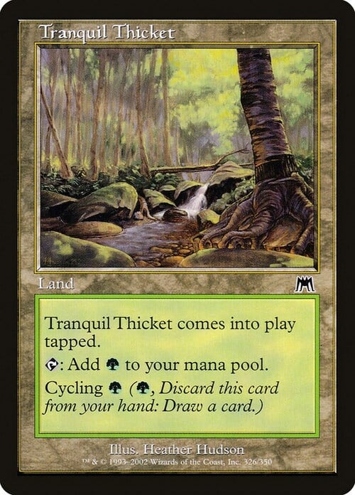 Tranquil Thicket Card Front