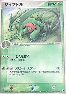 Grovyle Card Front