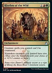 Rhythm of the Wild 217
