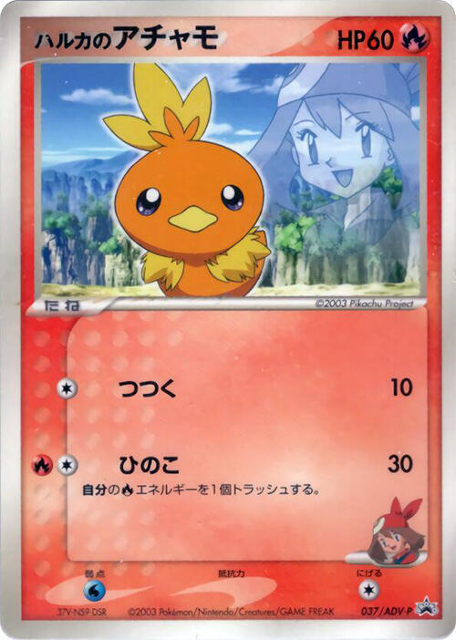 May's Torchic Card Front
