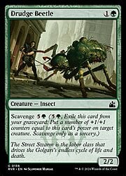 Drudge Beetle 136