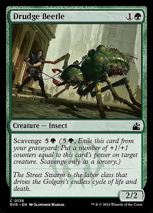 Drudge Beetle Card Front