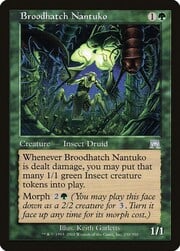 Broodhatch Nantuko 250