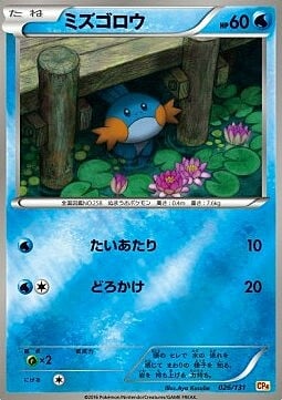Mudkip Card Front