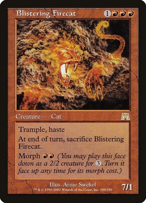 Blistering Firecat Card Front