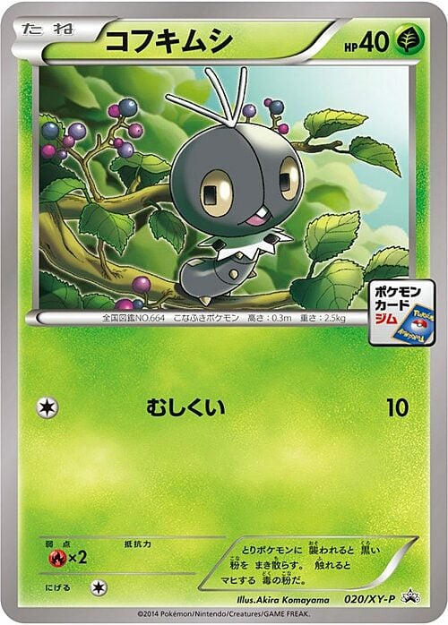 Scatterbug Card Front