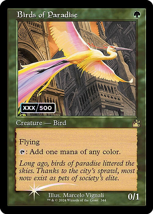 Birds of Paradise Card Front